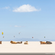 Illustration for article titled These are emNational Geographic/ems favorite images of the year